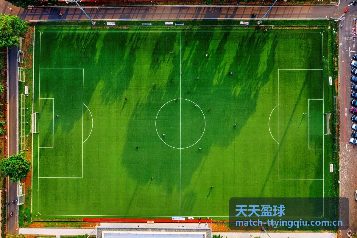 天天盈球足球赛事盘口解读内容封面