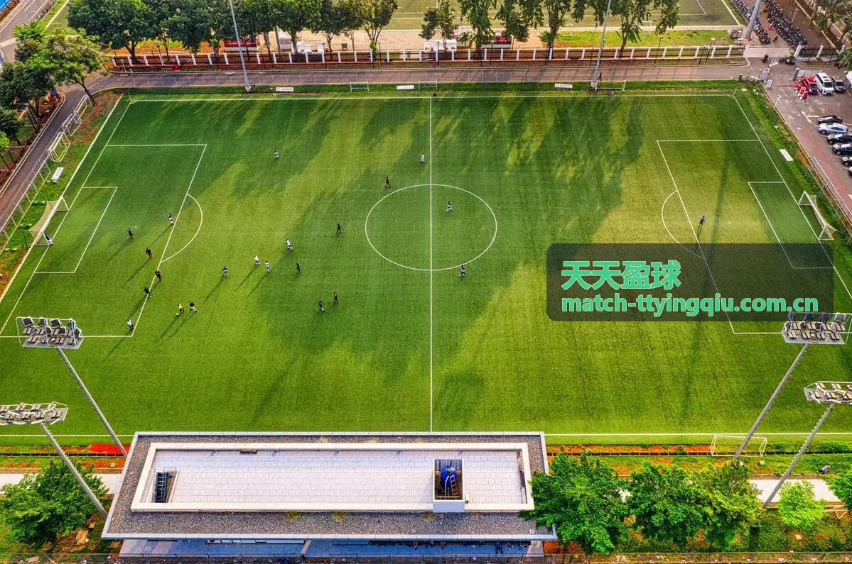 天天盈球篮球赛事数据复盘专题封面